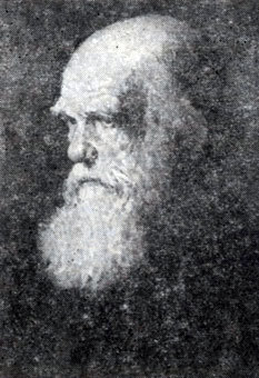Книги, пронизывающие века doc2fb_image_02000018.jpg