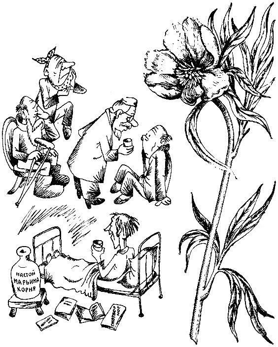 Родники здоровья _13.jpg