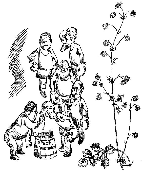 Родники здоровья _25.jpg