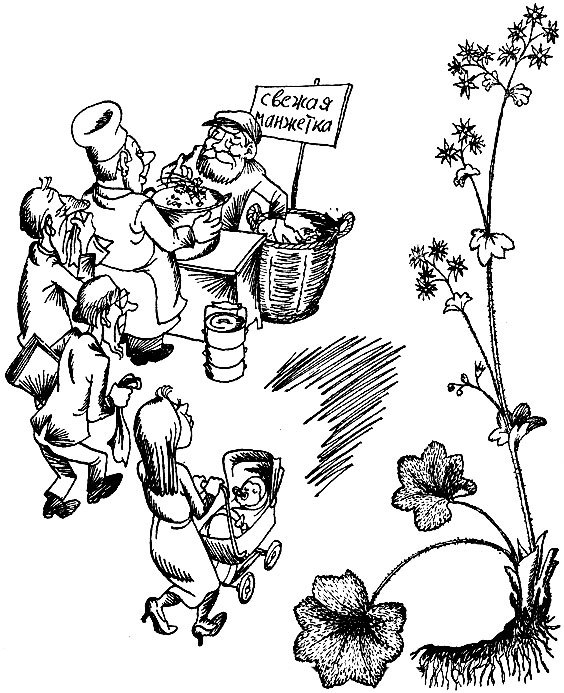 Родники здоровья _30.jpg