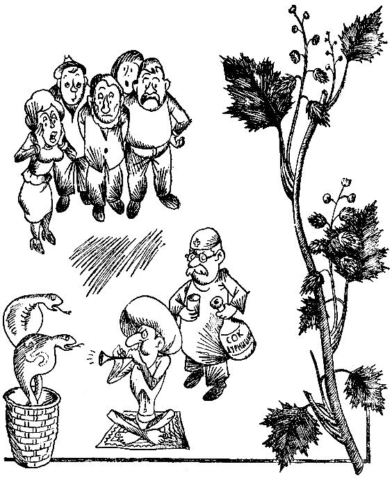 Родники здоровья _33.jpg