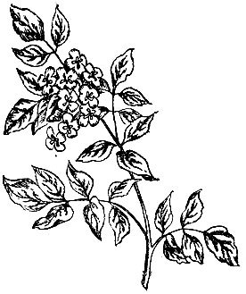 Родники здоровья _36.jpg
