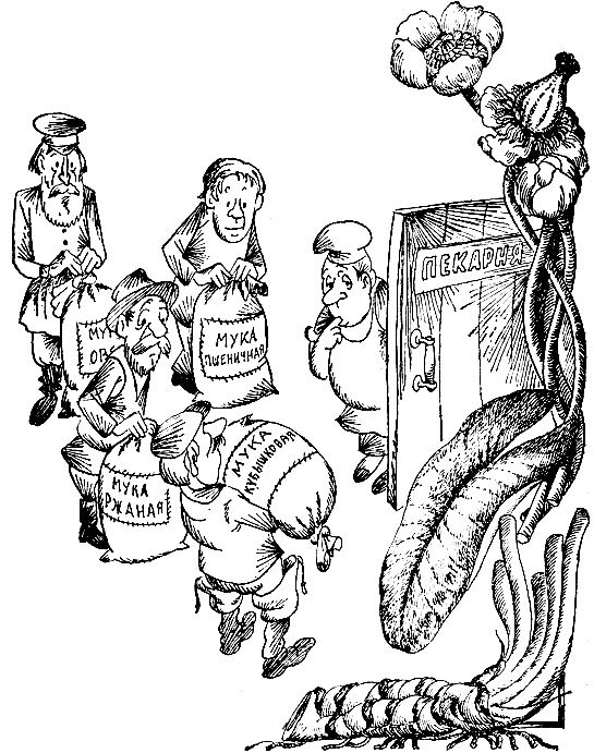 Родники здоровья _39.jpg