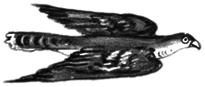 Подвиги Геракла. Аргонавты i_028.png