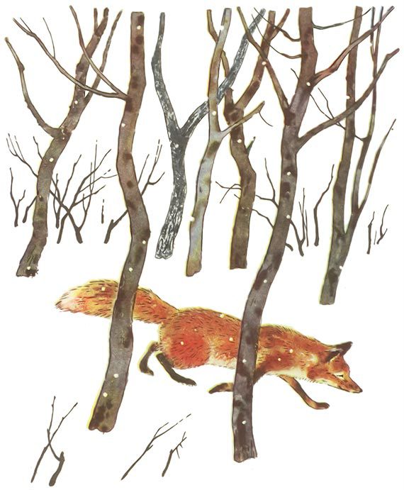 Зимой и летом (с илл.) i_001.jpg