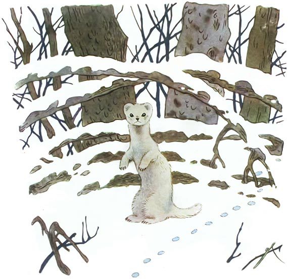 Зимой и летом (с илл.) i_012.jpg