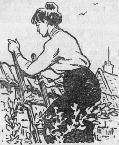Собрание сочинений. Т. 22. Истина i_018.jpg