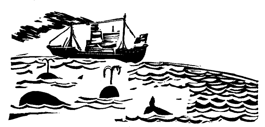 Кит doc2fb_image_03000005.png