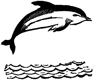 Кит doc2fb_image_03000049.png