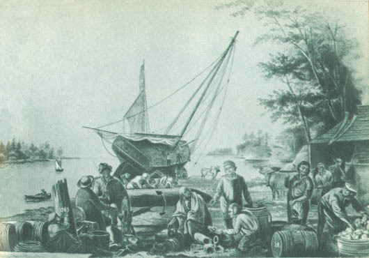 Кит doc2fb_image_02000050.jpg