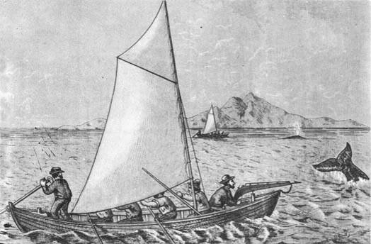 Кит doc2fb_image_02000054.jpg