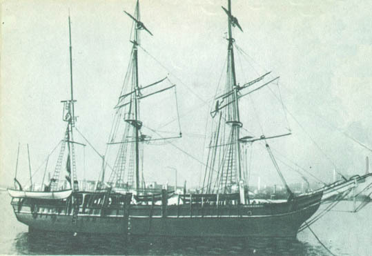 Кит doc2fb_image_02000059.jpg