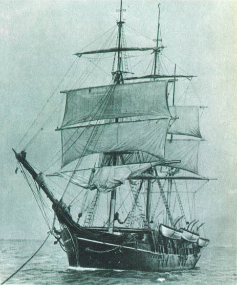 Кит doc2fb_image_0200005A.jpg