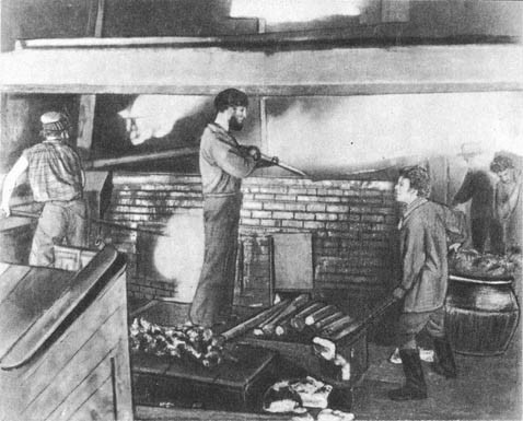 Кит doc2fb_image_0200005B.jpg