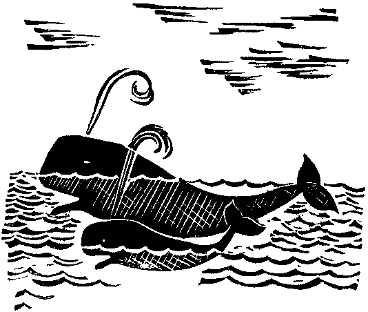 Кит doc2fb_image_03000061.png