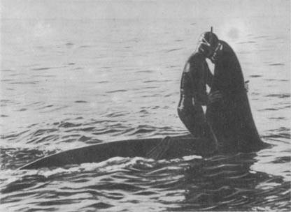 Кит doc2fb_image_02000079.jpg
