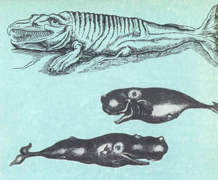 Кит doc2fb_image_0200007E.jpg