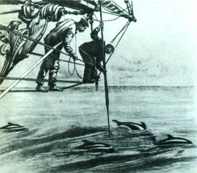Кит doc2fb_image_02000085.jpg