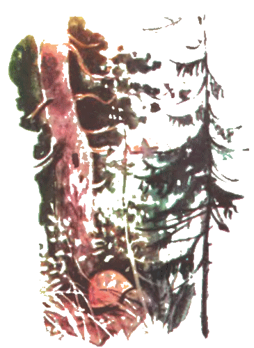 Журнал ''ТЕХНИКА-МОЛОДЕЖИ''. Сборник фантастики 1980-1983 i_018.png