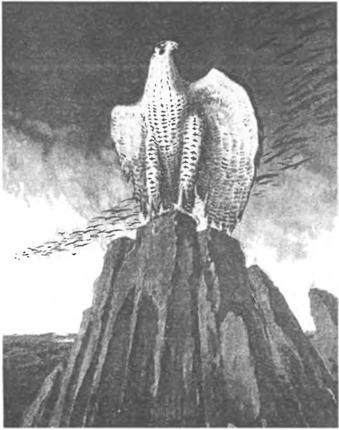 Свято-Русские Веды. Книга Коляды _69.jpg