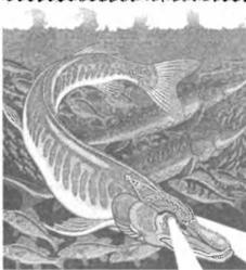 Свято-Русские Веды. Книга Коляды _18.jpg