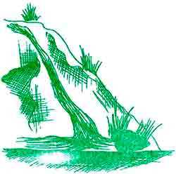 родник