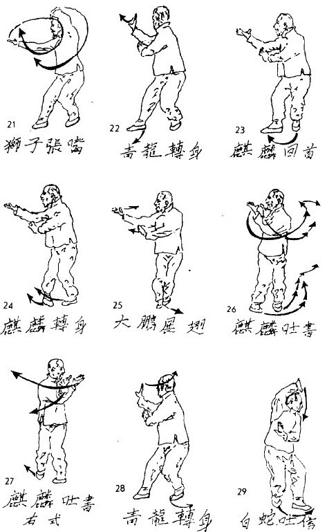 Сунь Лутан Grabbber.jpg_53