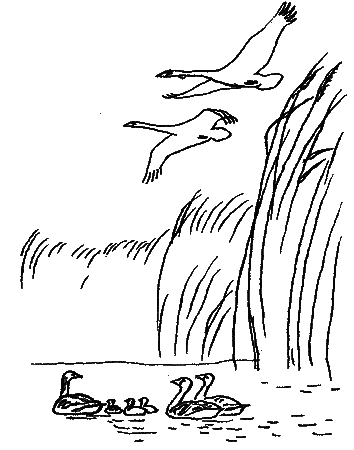 Природа донского края i_001.png