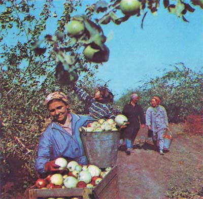 Природа донского края i_007.jpg