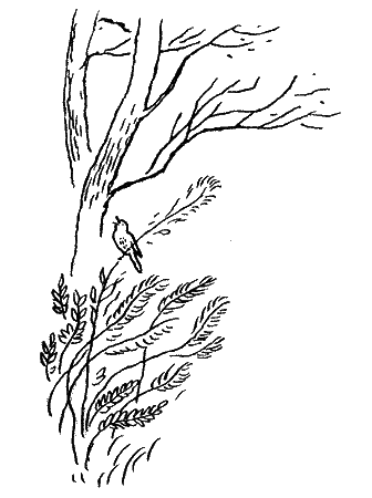 Природа донского края i_027.png