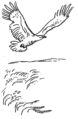 Природа донского края i_066.png