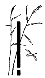 Природа донского края i_068.png