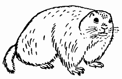 Природа донского края i_069.png