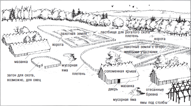 Археология. В начале i_133.png