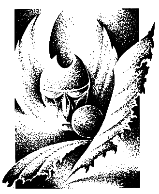 Миры Пола Андерсона. Т. 14. Терранская Империя i_005.png