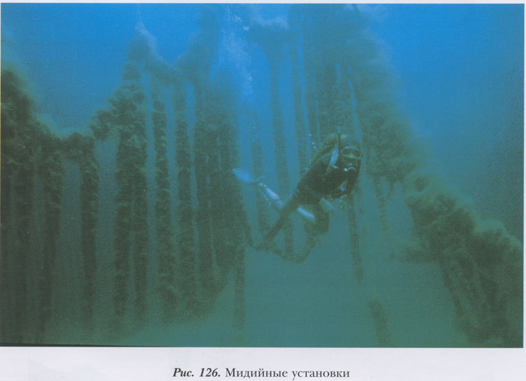 Водолазание в России от древних времен до наших дней i_127.jpg