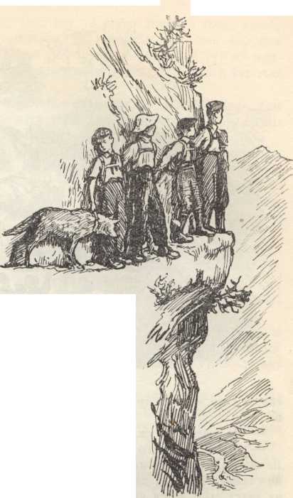 Мужество image3.jpg