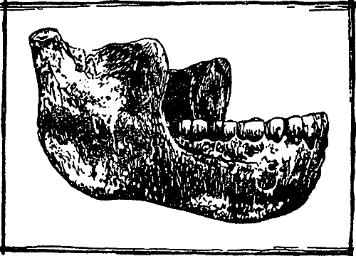 Великие открытия (илл.) i_028.png