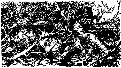 Великие открытия (илл.) i_050.png