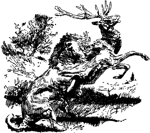 Великие открытия (илл.) i_062.png