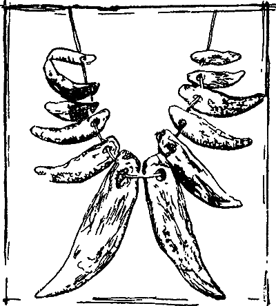 Великие открытия (илл.) i_065.png