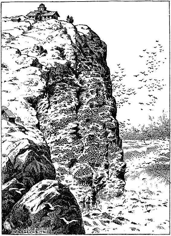 Море живёт _37.jpg