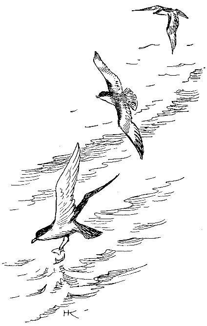 Море живёт _43.jpg