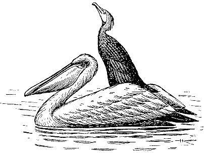 Море живёт _49.jpg
