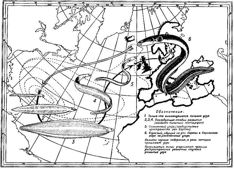 Море живёт _53.jpg