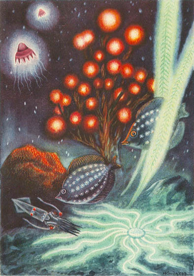 Море живёт _65.jpg