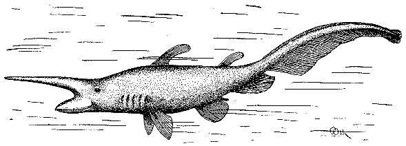 Море живёт _84.jpg