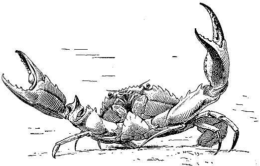 Море живёт _105.jpg