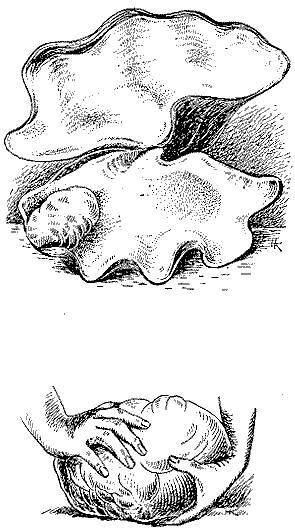 Море живёт _107.jpg
