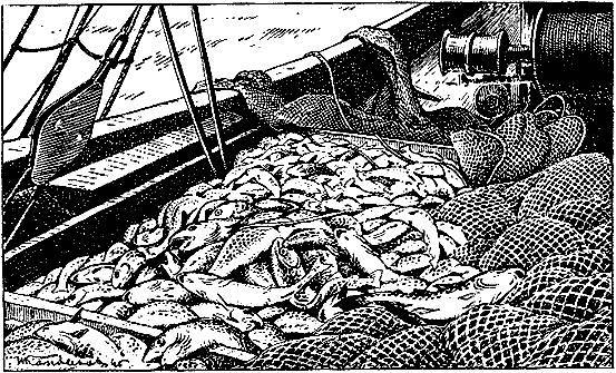 Море живёт _109.jpg